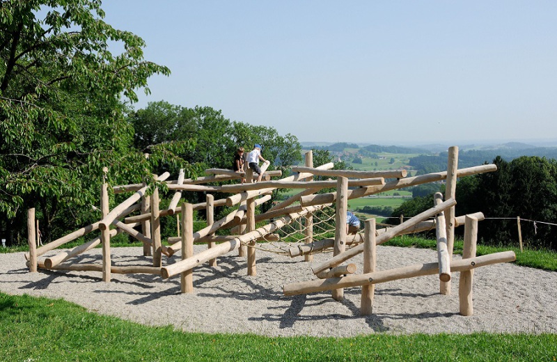 Richter_Spielgeraete_Kletterstruktur-Robinie