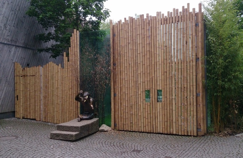 HPW_Referenzen_Reparatur_Bambuszaun_